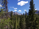 20170915_142501.jpg