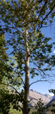 20170915_162114.jpg