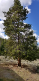 20170917_104947.jpg