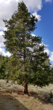 20170917_104950.jpg