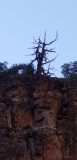 20170918_171446.jpg