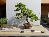 20171005_123824.jpg