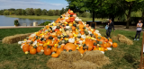 20171005_131729.jpg