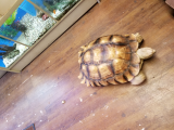 20171006_135348.jpg