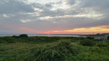 20170727_200500.jpg