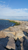 20170729_174810.jpg