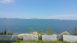 20170812_113939.jpg