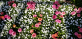 20190406_154156.jpg