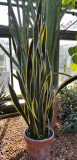 20190406_154447.jpg
