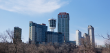 20190406_160815.jpg