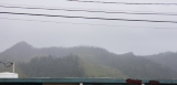 20180503_115431.jpg