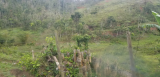 20180503_161357.jpg