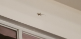 20180503_194542.jpg