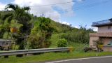 20180504_123205.jpg