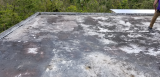 20180504_124935.jpg