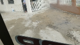 20180503_161845.mp4