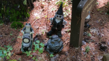 20170904_110133.jpg