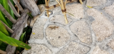 20180528_162204.jpg